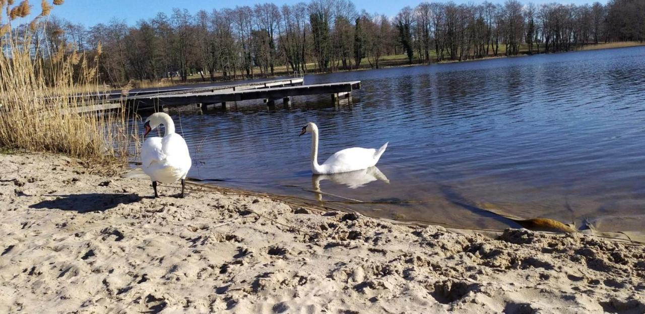 Szary Domek Nad Jeziorem Kołczewo Kültér fotó